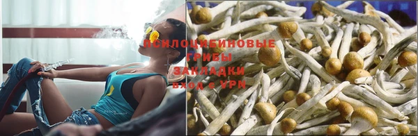 СК Семилуки